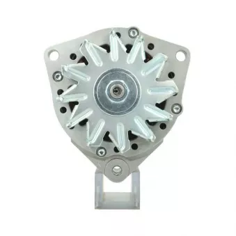 Alternateur BV PSH 556.002.055.380