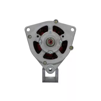 Alternateur BV PSH 556.002.055.381