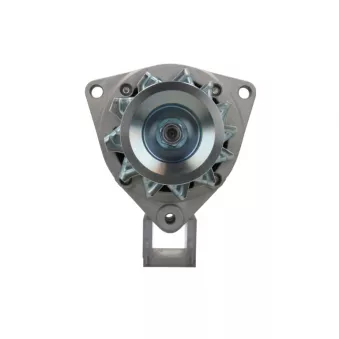 Alternateur BV PSH 556.002.055.310