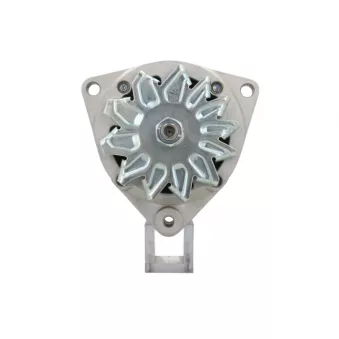 Alternateur BV PSH 556.002.055.313