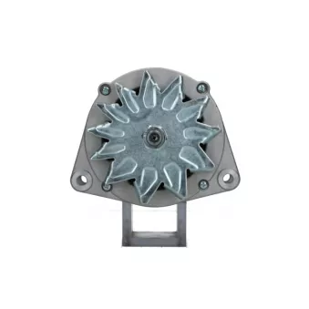 Alternateur BV PSH 556.040.080.010