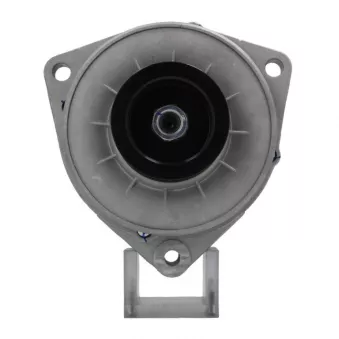 Alternateur BV PSH 556.061.100.010