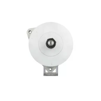 Alternateur BV PSH 556.043.140.010