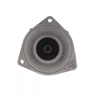 Alternateur BV PSH 556.032.100.018