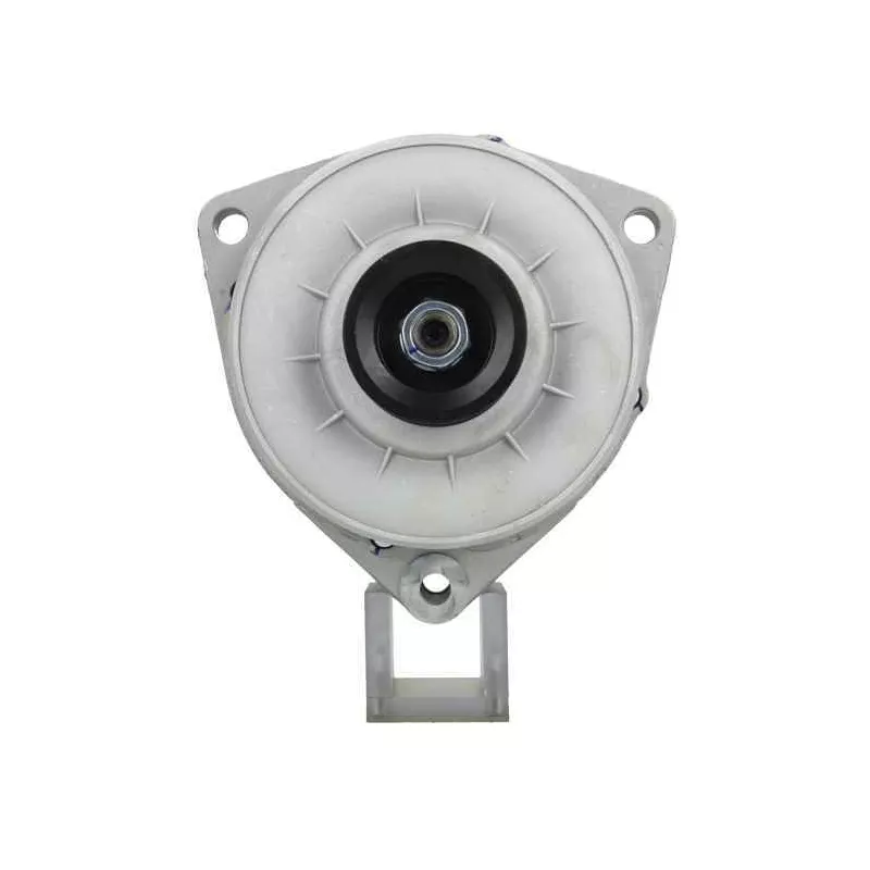 Alternateur BV PSH 556.032.100.010