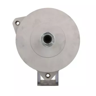 Alternateur BV PSH 556.026.120.010