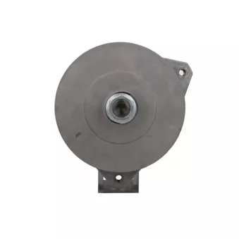 Alternateur BV PSH 556.019.140.280