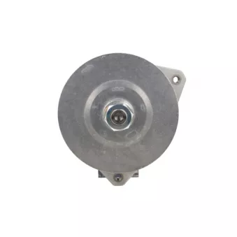 Alternateur BV PSH 556.019.140.311