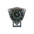 Alternateur BV PSH 556.022.027.310 - Visuel 1
