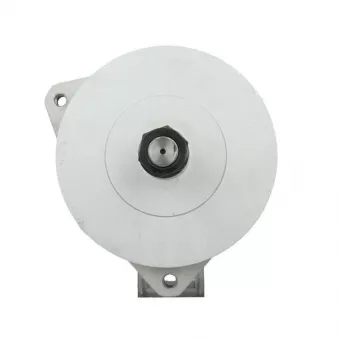 Alternateur BV PSH 556.023.120.010