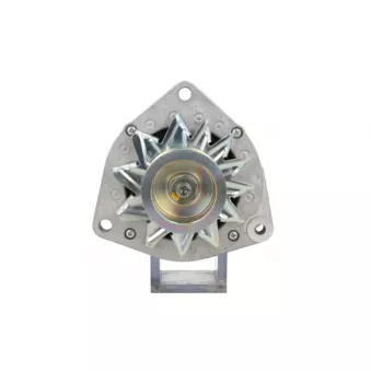 Alternateur BV PSH 556.021.080.280