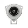 Alternateur BV PSH 556.025.100.010 - Visuel 1