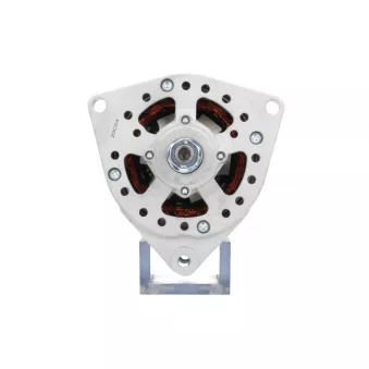 Alternateur BV PSH 556.011.030.018