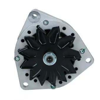 Alternateur BV PSH 556.017.080.018