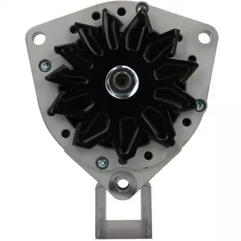 Alternateur BV PSH 556.017.080.380