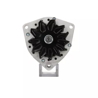 Alternateur BV PSH 556.017.080.014