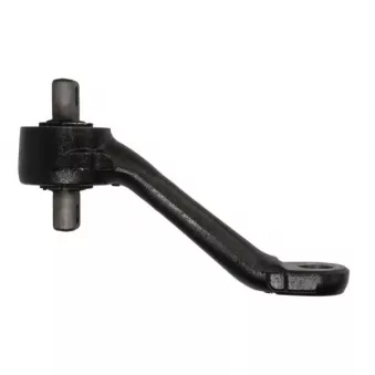 Triangle ou bras de suspension (train arrière) REINHOCH