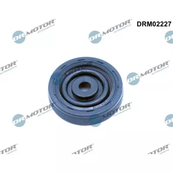 Bague d'étanchéité, vilebrequin Dr.Motor