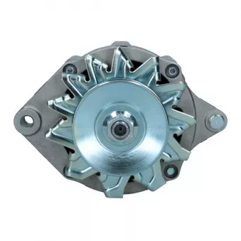 Alternateur BV PSH 705.004.065.312