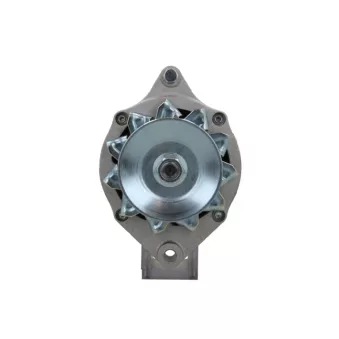 Alternateur BV PSH 705.004.065.311