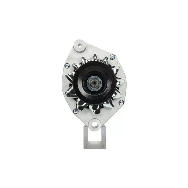 Alternateur BV PSH 816.002.055.010