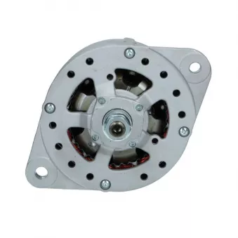 Alternateur BV PSH 816.004.080.019