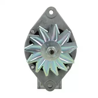 Alternateur BV PSH 816.004.060.500