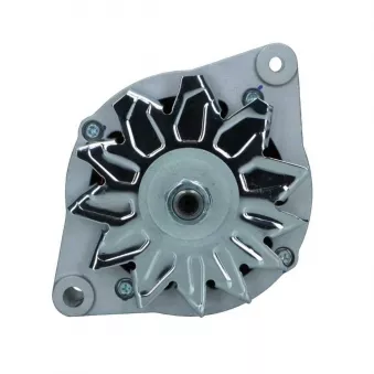 Alternateur BV PSH 815.019.100.098