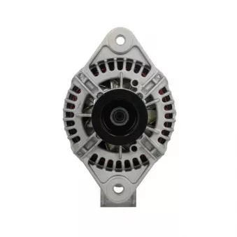 Alternateur BV PSH 816.504.110.310