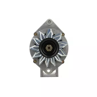 Alternateur BV PSH 835.004.090.210