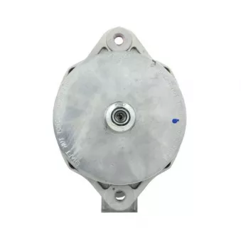 Alternateur BV PSH 646.031.060.391