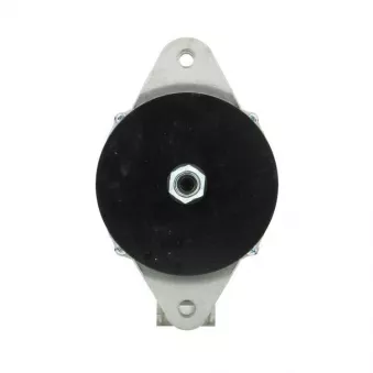 Alternateur BV PSH 645.036.060.030