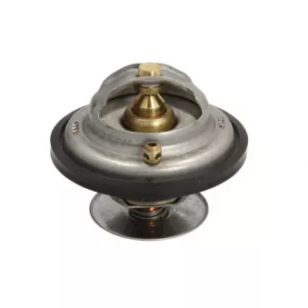 Thermostat d'eau THERMOTEC D2MA008TT