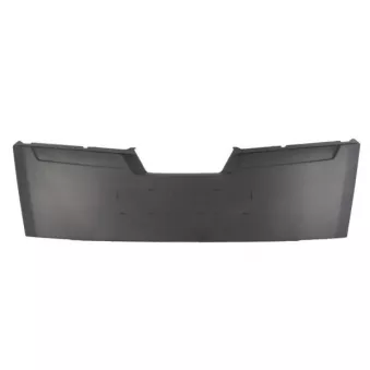 Grille de radiateur PACOL