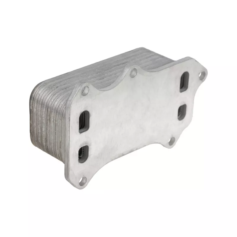 Radiateur d'huile TEKNÖR CCL-CH-017 - Visuel 1