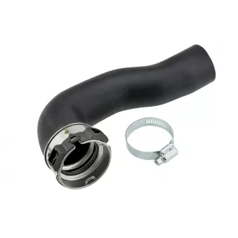 Durite de radiateur TEKNÖR GPP-PL-038