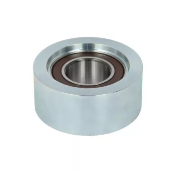 Poulie renvoi/transmission, courroie trapézoïdale à nervures BTA B05-02-123