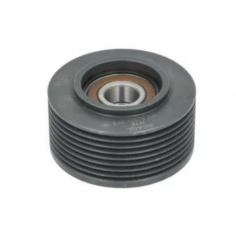 Poulie renvoi/transmission, courroie trapézoïdale à nervures BTA B05-AG-379