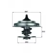 Thermostat d'eau MAHLE TX 18 71D - Visuel 1