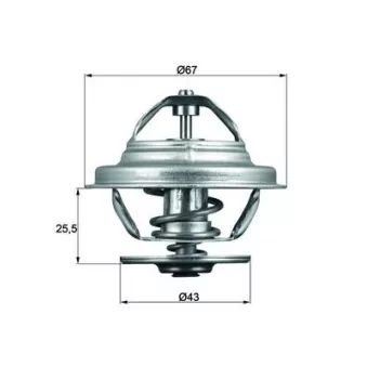 Thermostat d'eau MAHLE TX 56 71