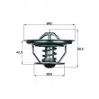 Thermostat d'eau MAHLE TX 35 79 - Visuel 1
