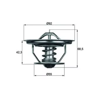 Thermostat d'eau MAHLE TX 35 75