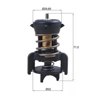 Thermostat d'eau MAHLE