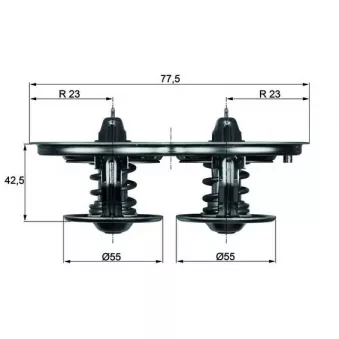 Thermostat d'eau MAHLE