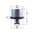 Thermostat d'eau MAHLE THD 5 80 - Visuel 1