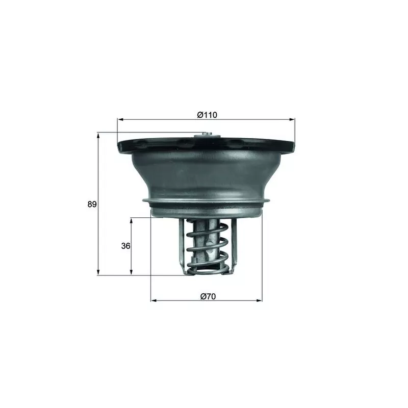 Thermostat d'eau MAHLE THD 3 76