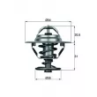 Thermostat d'eau MAHLE TX 10 66D - Visuel 1