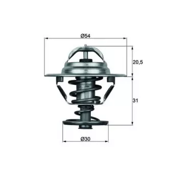 Thermostat d'eau MAHLE TX 10 76D