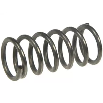 Kit de réparation, démarreur AS-PL SDK5055S(BULK)