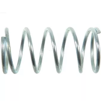 Kit de réparation, démarreur AS-PL SRS0113(BULK)